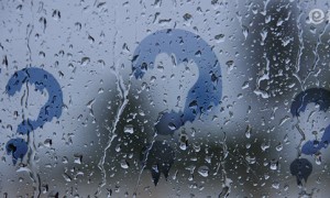 小雨伞擎天柱2018Plus条款    保险责任需了解！